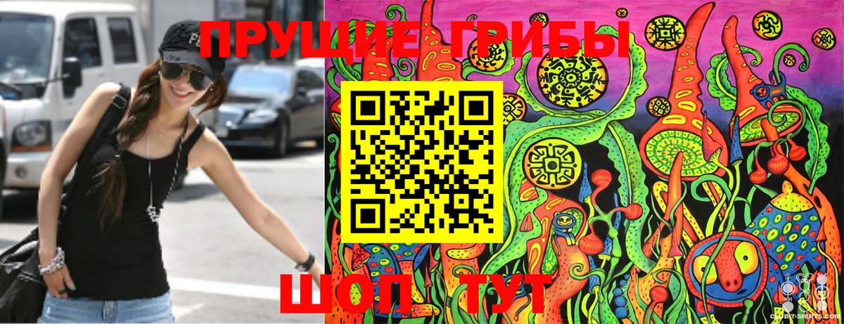 Калач-на-Дону  Псилоцибиновые грибы Psilocybe  Вход с VPN 
